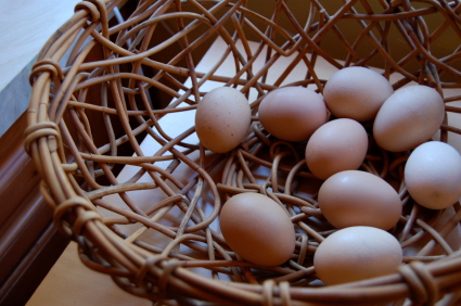You Can No Longer Put All Your Eggs in One Basket – Creating a Holistic Marketing Plan